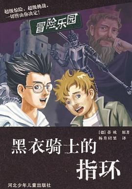 黑衣骑士的指环 pdf epub mobi 电子书 下载