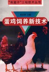 蛋鸡饲养新技术