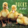 Ducks at Play pdf epub mobi 电子书 下载