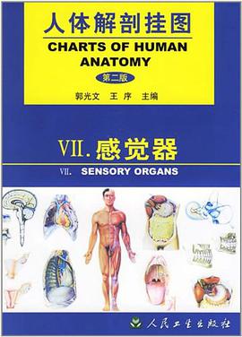 人体解剖挂图 pdf epub mobi 电子书 下载