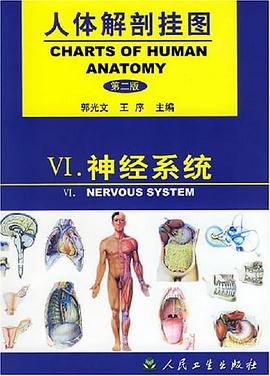 人体解剖挂图 pdf epub mobi 电子书 下载