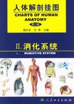 人体解剖挂图 pdf epub mobi 电子书 下载
