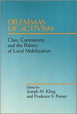 Dilemmas of Activism pdf epub mobi 下载