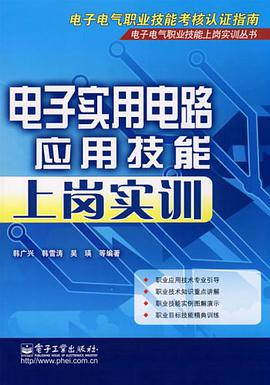 电子实用电路应用技能上岗实训 pdf epub mobi 电子书 下载