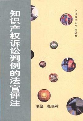 知识产权诉讼判例的法官评注 pdf epub mobi 下载