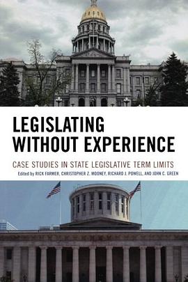 Legislating without Experience pdf epub mobi 電子書 下載