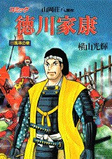 徳川家康 11 pdf epub mobi 下载