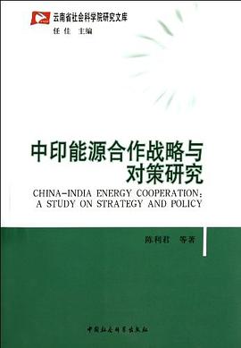 中印能源閤作戰略與對策研究 pdf epub mobi 電子書 下載