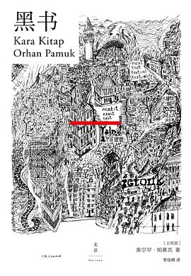 黑书 pdf epub mobi 电子书 下载