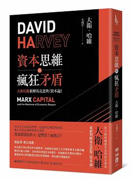 資本思維的瘋狂矛盾 pdf epub mobi 电子书 下载