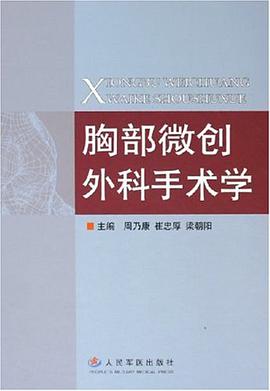 胸部微创外科手术学 pdf epub mobi 电子书 下载