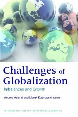 The Challenges of Globalization pdf epub mobi 电子书 下载