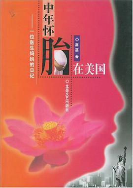 中年怀胎在美国 pdf epub mobi 电子书 下载