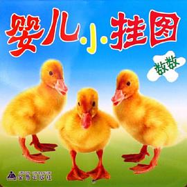 婴儿小挂图 pdf epub mobi 电子书 下载