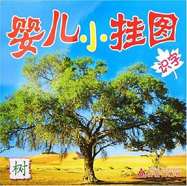婴儿小挂图 pdf epub mobi 电子书 下载