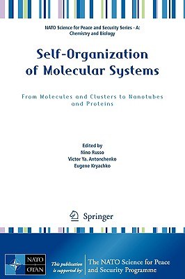 Self-Organization of Molecular Systems pdf epub mobi 电子书 下载
