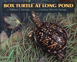 Box Turtle at Long Pond pdf epub mobi 电子书 下载
