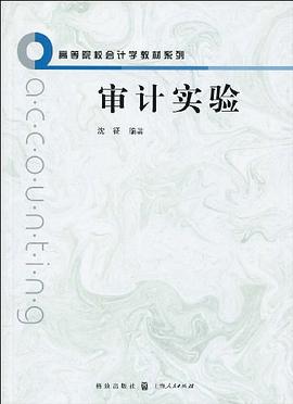 审计实验 pdf epub mobi 电子书 下载