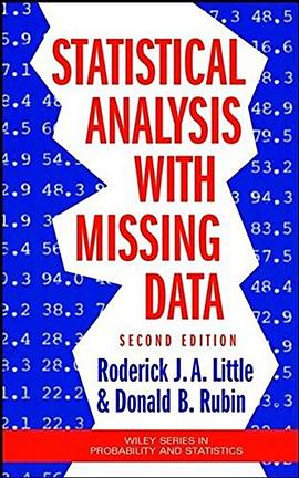 Missing Data 2e pdf epub mobi 电子书 下载