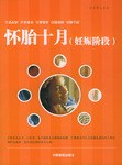 怀胎十月 pdf epub mobi 下载