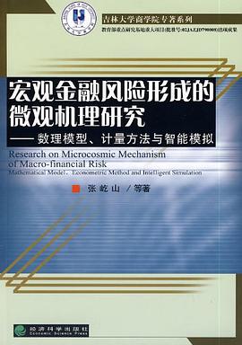 宏观金融风险形成的微观机理研究 pdf epub mobi 电子书 下载