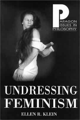 Undressing Feminism pdf epub mobi 电子书 下载