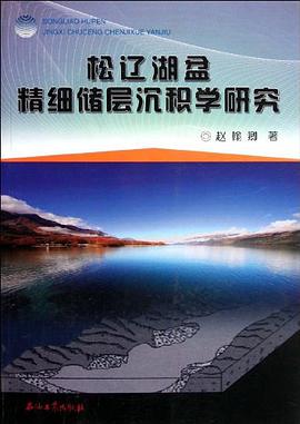 松辽湖盆精细储层沉积学研究 pdf epub mobi 电子书 下载