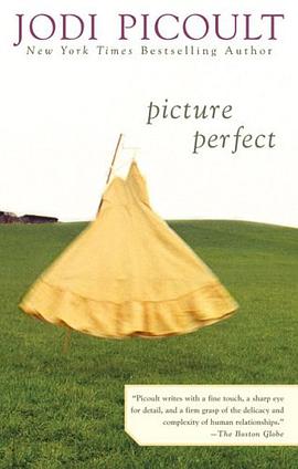 Picture Perfect pdf epub mobi 電子書 下載
