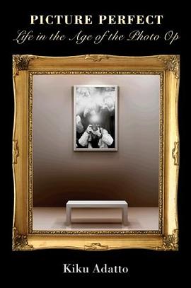 Picture Perfect pdf epub mobi 电子书 下载