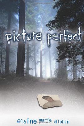 Picture Perfect pdf epub mobi 电子书 下载