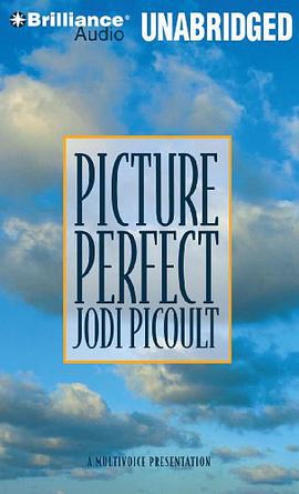 Picture Perfect pdf epub mobi 电子书 下载