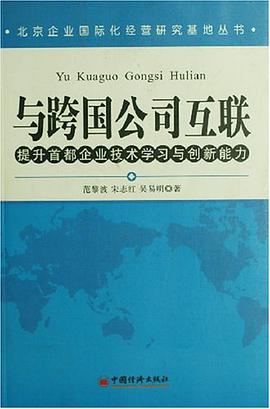 与跨国公司互联 pdf epub mobi 电子书 下载