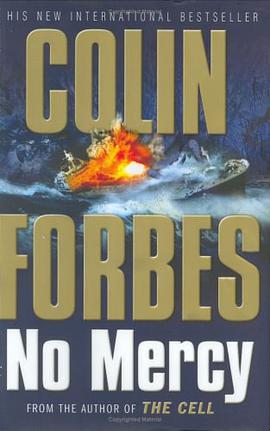 毫无怜悯No Mercy pdf epub mobi 电子书 下载