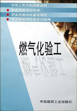燃气化验工 pdf epub mobi 电子书 下载