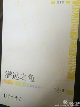 潜逃之鱼 pdf epub mobi 电子书 下载