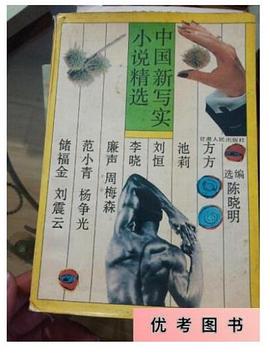 中国新写实小说精选 pdf epub mobi 电子书 下载