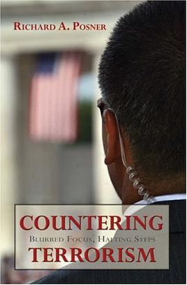 Countering Terrorism pdf epub mobi 电子书 下载