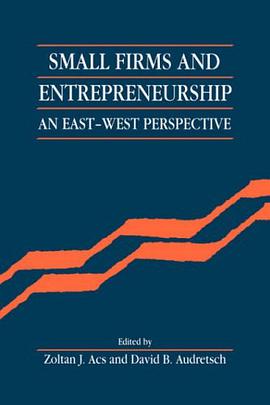 Small Firms and Entrepreneurship pdf epub mobi 电子书 下载