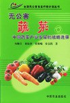 无公害蔬菜中国蔬菜产业发展的战略选择 pdf epub mobi 电子书 下载