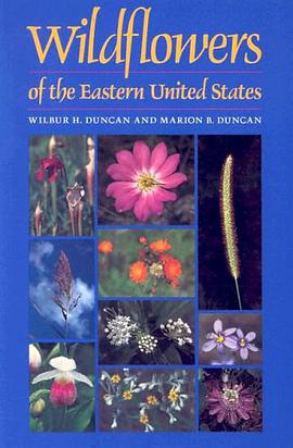 Wildflowers of the Eastern United States pdf epub mobi 电子书 下载