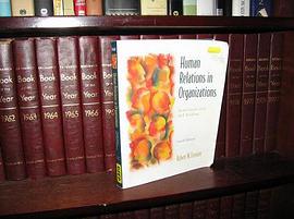 Human Relations In Organizations pdf epub mobi 电子书 下载