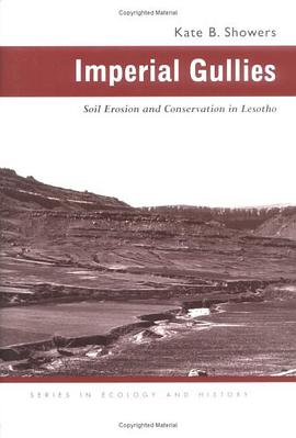 Imperial Gullies pdf epub mobi 电子书 下载