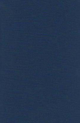 Navigators of the Contemporary pdf epub mobi 電子書 下載