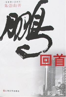 鹏回首 pdf epub mobi 电子书 下载