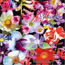 500 Flowers pdf epub mobi 电子书 下载