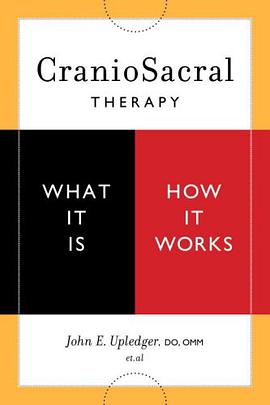 CranioSacral Therapy pdf epub mobi 电子书 下载