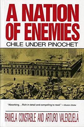 A Nation of Enemies pdf epub mobi 电子书 下载