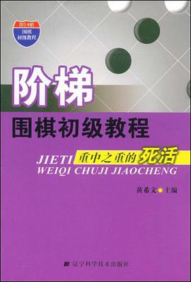 阶梯围棋初级教程 pdf epub mobi 电子书 下载