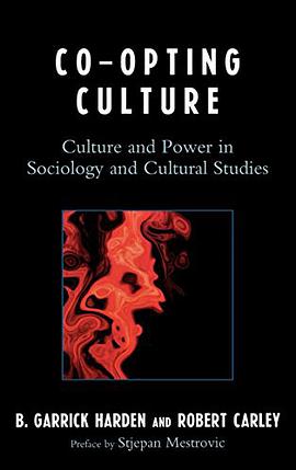 Co-opting Culture pdf epub mobi 下载