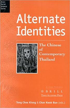 Alternate Identities pdf epub mobi 电子书 下载